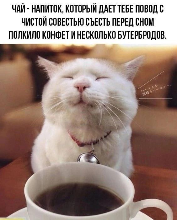 ЧАЙ НАПИТПК КПТПРЫЙ ЦАЕТ ТЕБЕ ППБПДС ЧИСТОЙ ВПВЕСТЬЮ БЬЕВТЬ ПЕРЕЦ СНПМ ППЛКИЛП КПНФЕТ И НЕБКПЛЬКП БУТЕРБРПДПВ