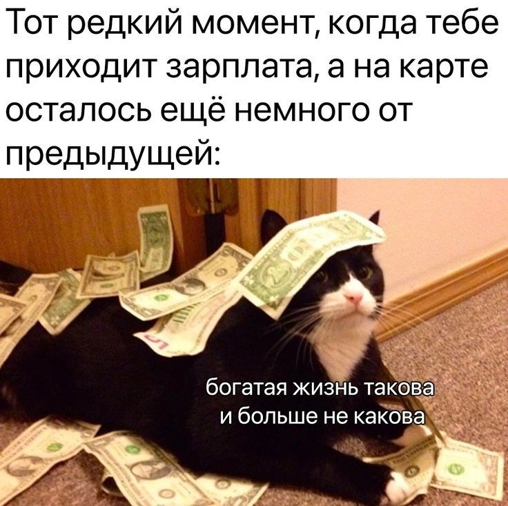 Тот редкий момент когда тебе приходит зарплата а на карте осталось ещё немного от предыдущей