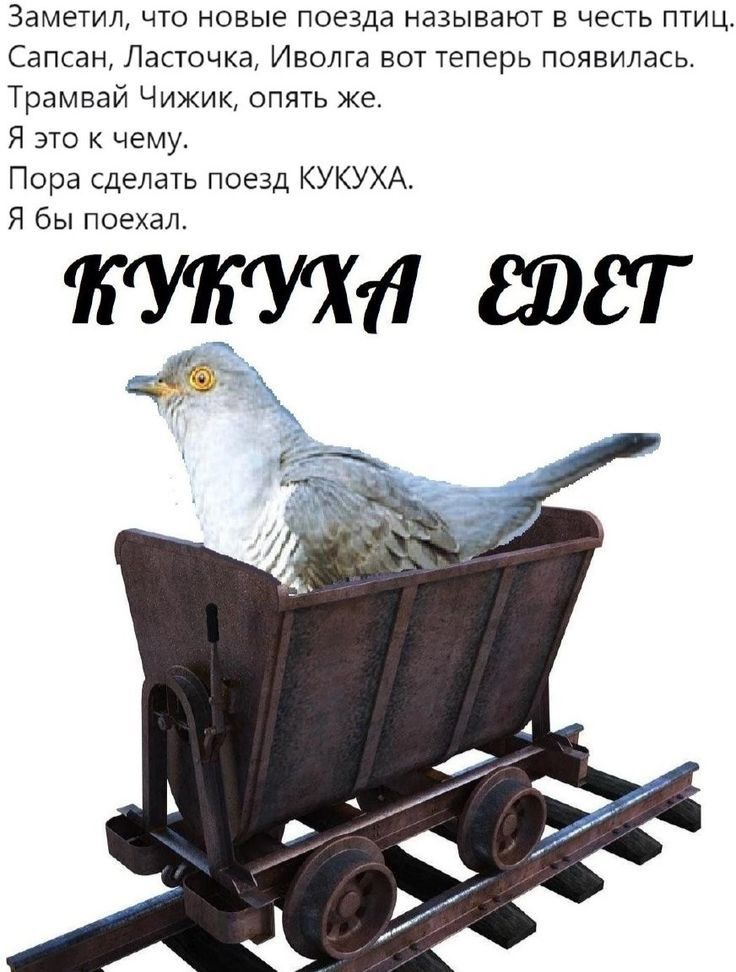 Заметил чго новые поезда называют в честь птиц Сапсан Ласточка Иволга вот теперь появилась Трамвай Чижик опять же я это к чему Пора сделать поезд КУКУХА Я бы поехал КУБУХй ЮСТ 4