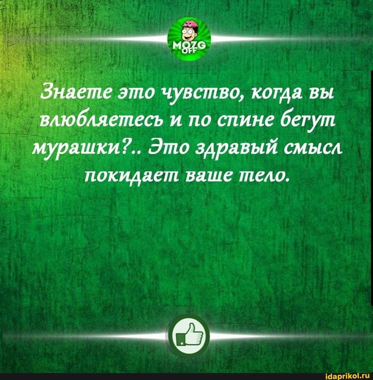 мёд _ это чувапво кот дд вы сь и по спине бегут рынки Это здрпый смысл пакидщпп БПШС шелл