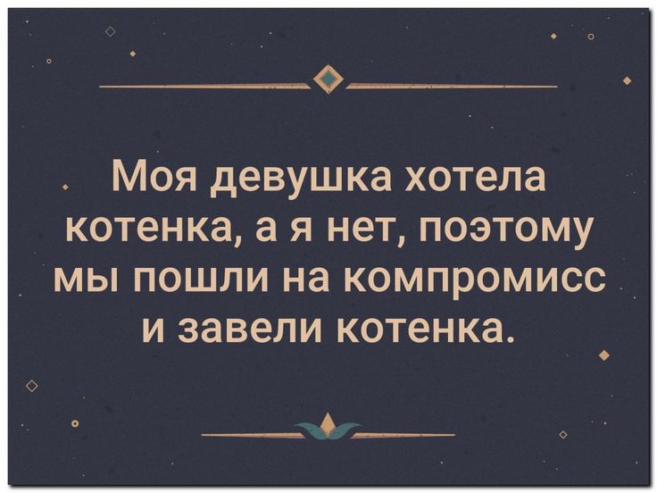 0 Моя девушка хотела котенка а я нет поэтому МЫ ПОШЛИ на КОМПРОМИСС И ЗЗВЕЛИ КОТЕНКЭ