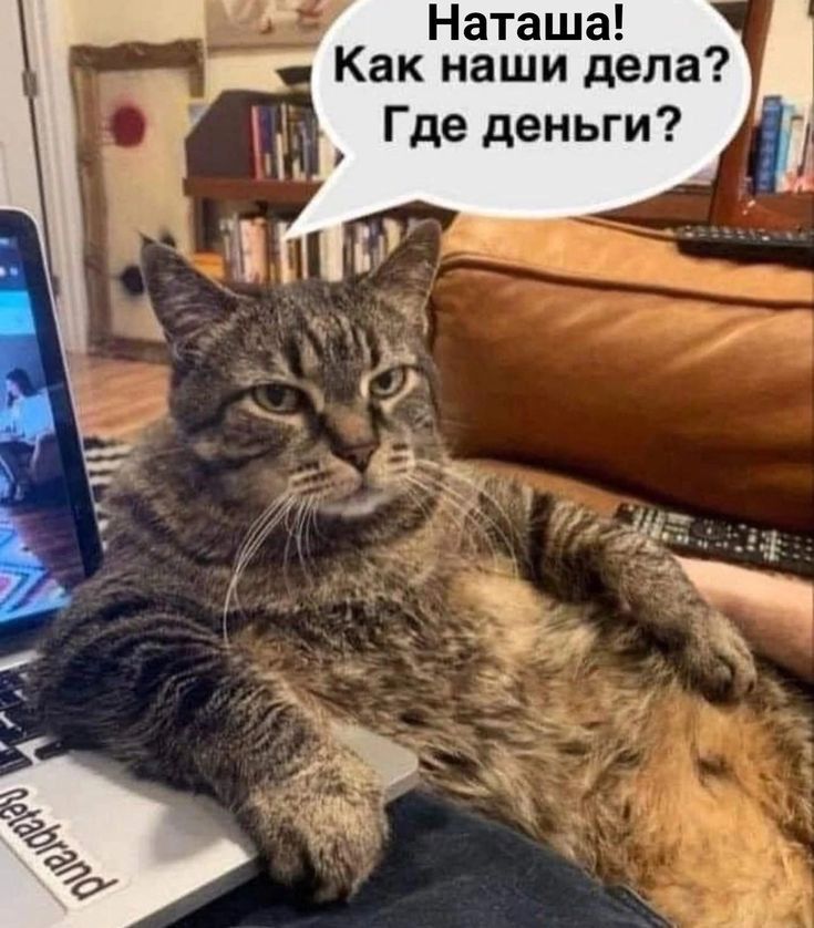 Наташа Как наши дела _ Где деньги