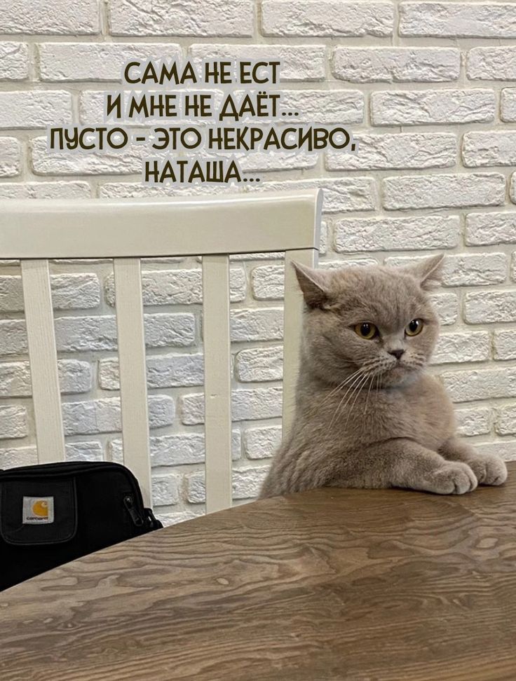 _ ___САМА НЕ ЕСТ_ _ И МНЕ НЕ ДАЁТ ПИСТО ЭТО НЕКРАСИВО