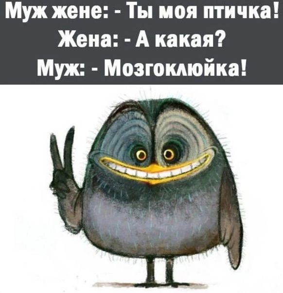 Муж жене Ты моя птичка Жена А какая Муж Мозгокмойка