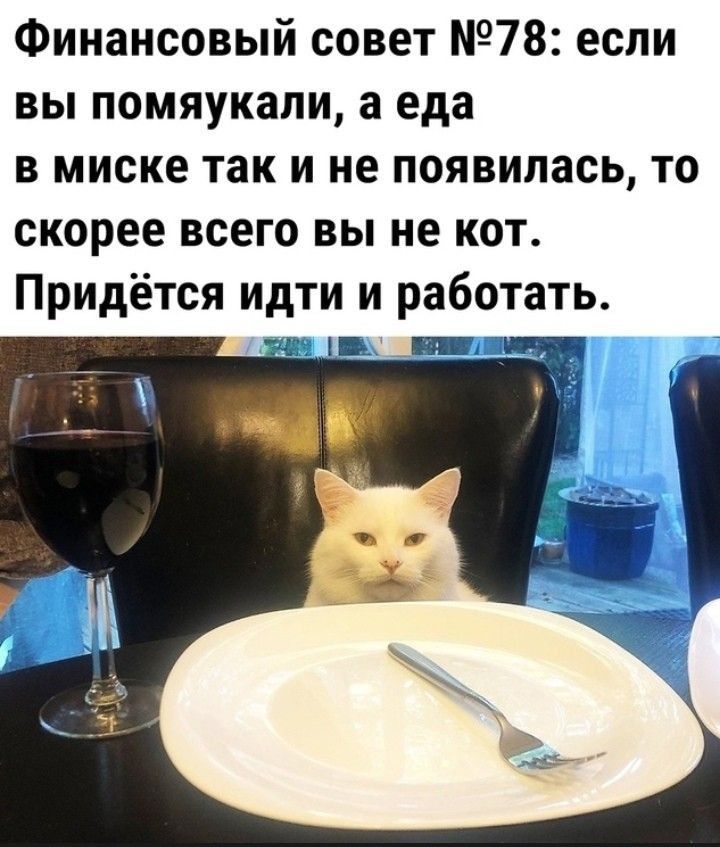Финансовый совет 78 если вы помяукапи а еда в миске так и не появилась то скорее всего вы не кот Придётся идти и работать 1 Ш