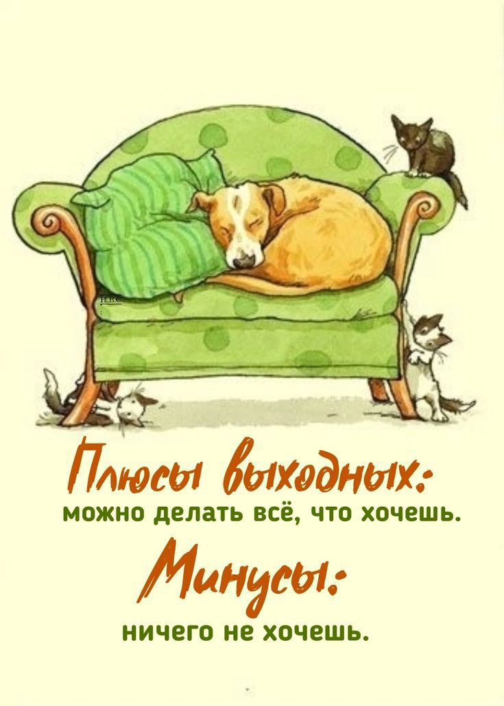 Плюсы Модных МОЖНО делать всёчто ХОЧЕШЬ Линдси НИЧЕГО НЕ ХОЧЕШЬ