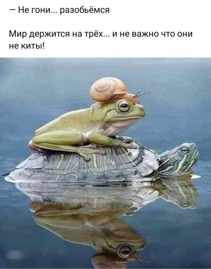 Не гони разобьёмся Мир держится на трёх и не важно что они не киты