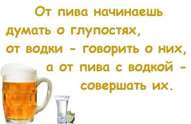 От пива начинаешь думать о глупостях от водки говорить о них а от пива с водкой Ш совершать их