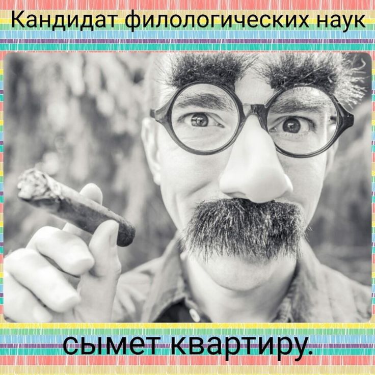 цимпінпіпшш интлимитами шипит Кандидат илологических наук интиммшиичюіпчппюмшіпё ыт ви
