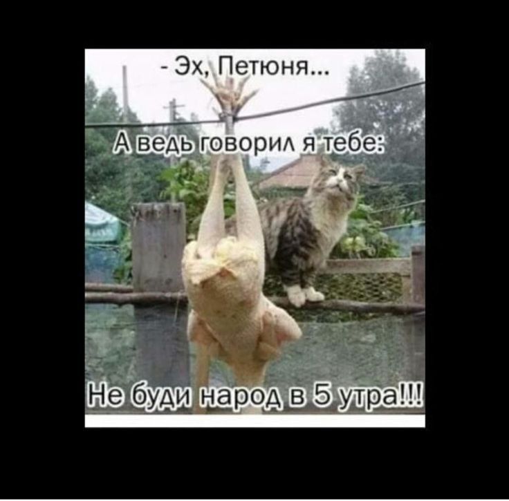 Эч Пкзтюнп