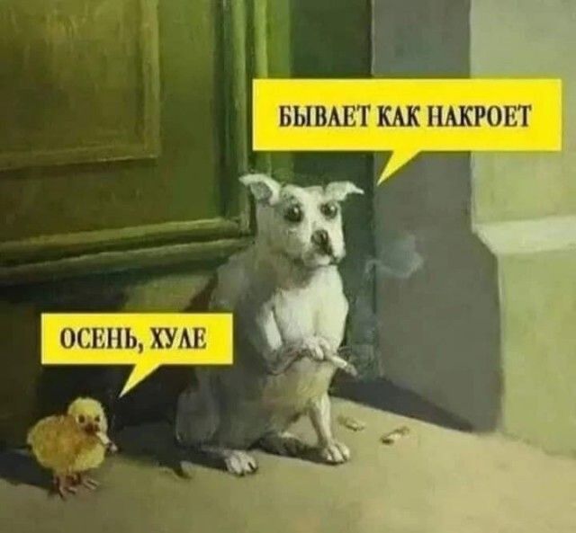 БЫВАЕТ КАК АКРОЕТ