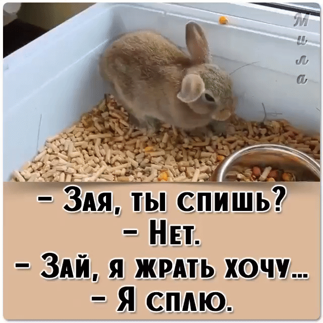3Ай я жить хочу Я сплю