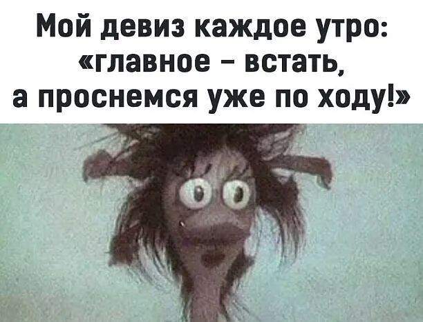Мой девиз каждое утро главное встать а проснемся уже по ходу