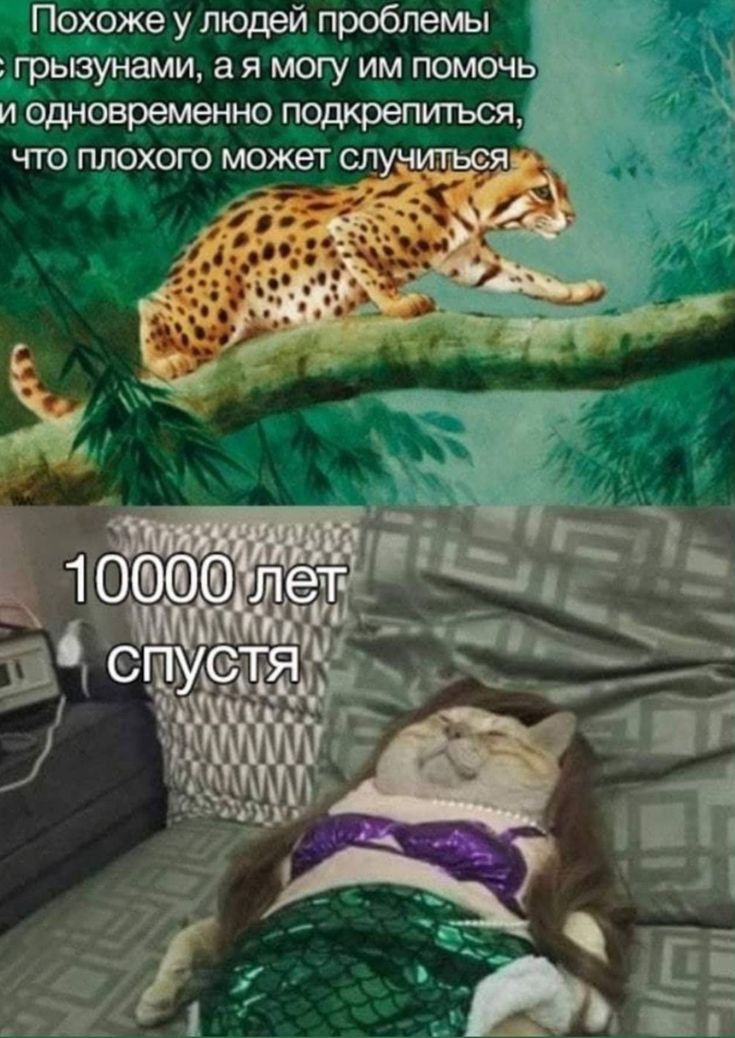 Пооже у людей проблемы грьвунами а я могу им помочь и Ьдиовременно подюепитъся ЧТО ПЛОХОГО МОЖЕТ