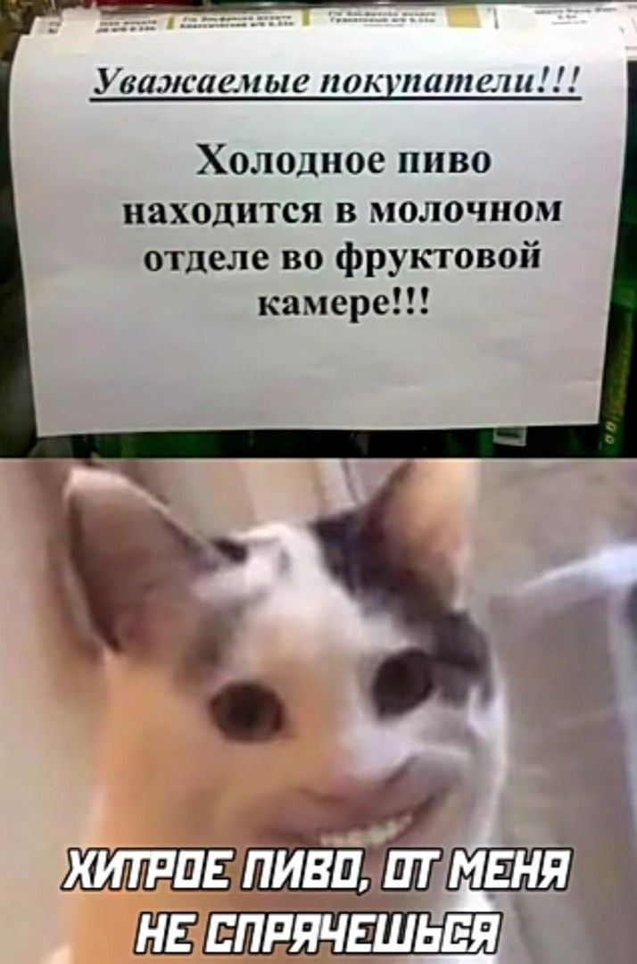 ______ _ Увалслитка тжгштщш Холодное пиво находится в молочном отделе во фруктовой камере Шлина тиши ЦЕ ЕПРЖЕШЬЕЯ