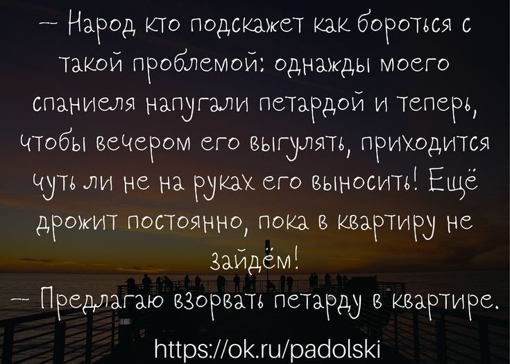Народ КТО подскажет как боРОТьСЯ с Такой пгоблсмой однажды моего СПЗНИСЛЯ НЗПУГЗЛИ ПСТЗРДОИ И ТСПСР чтобы вечером его выкупят приходится чутьли не на как его выносить Ещё дрожит постоянно пока в квартиру не зайдём _ Пгсдлзгзю взорвать пстарду квартире Ьпрзошрааоізі