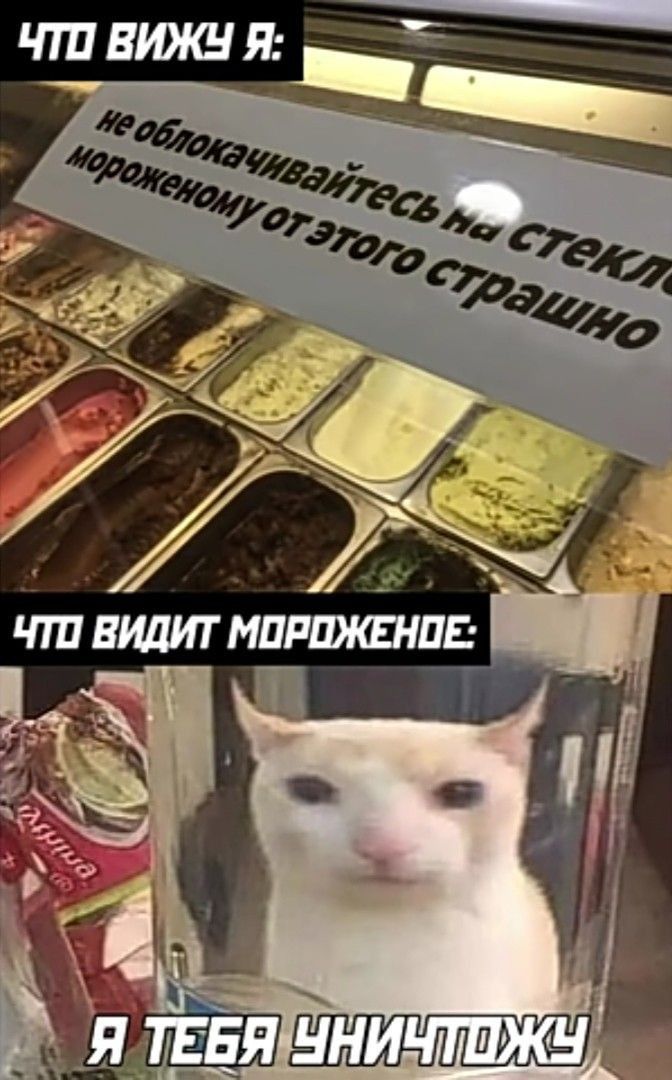 ЧТП ЕИДИТ МПРШШ ШЕ