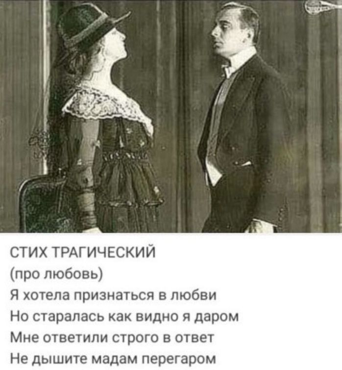 СТИХ ТРАГИЧЕСКИЙ про любовь Я хотела признаться в любви Но старалась как вицио даром Мне ответили строго в стае Не дышите мадам перегаром