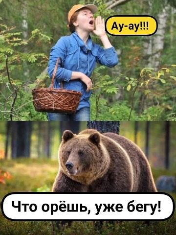 Что орёшь уже бегу
