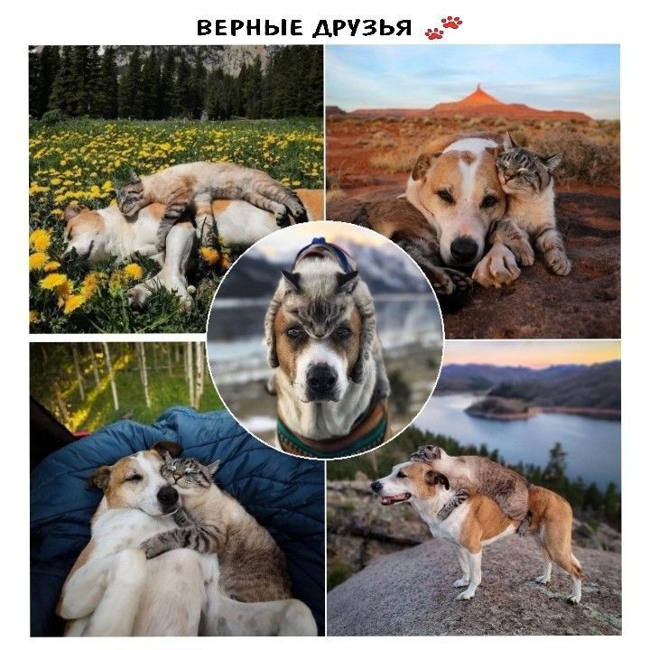 __ш Я Ь 3 у г А Щ Ь и г н