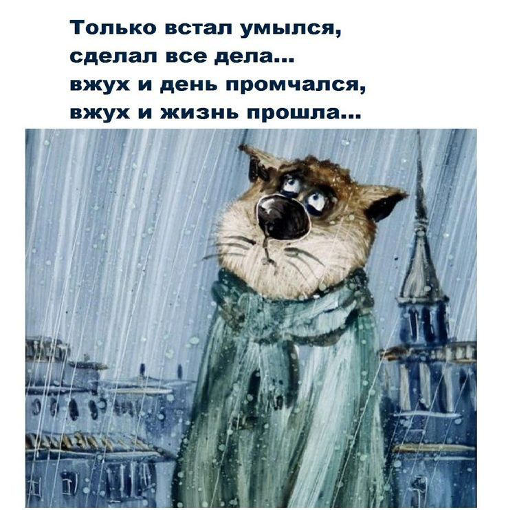 топыю встал умыпся сделал все дела вжух и день промчался пжух И ЖИЗНЬ прошла