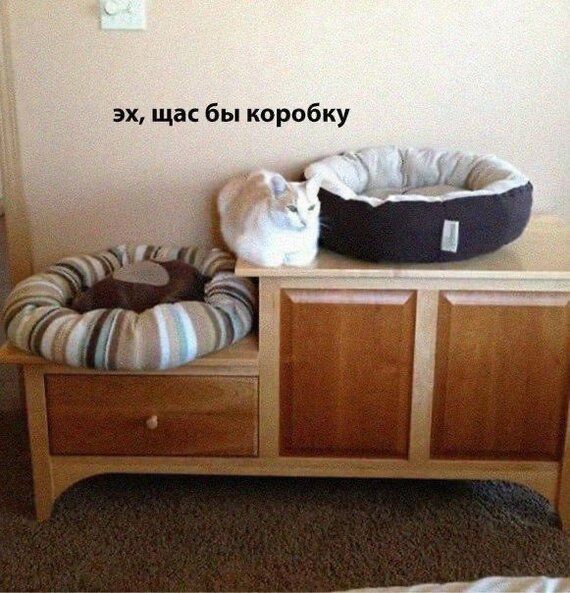 эх щас бы коробку