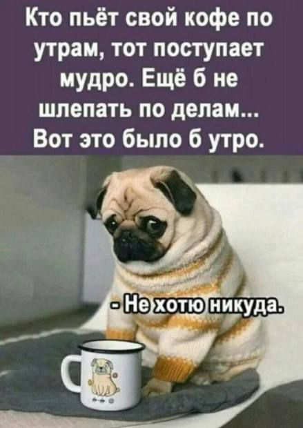 Кто пьёт свой кофе по утрам тот поступает мудро Ещё б не шлепать по делам Вот это было б утро