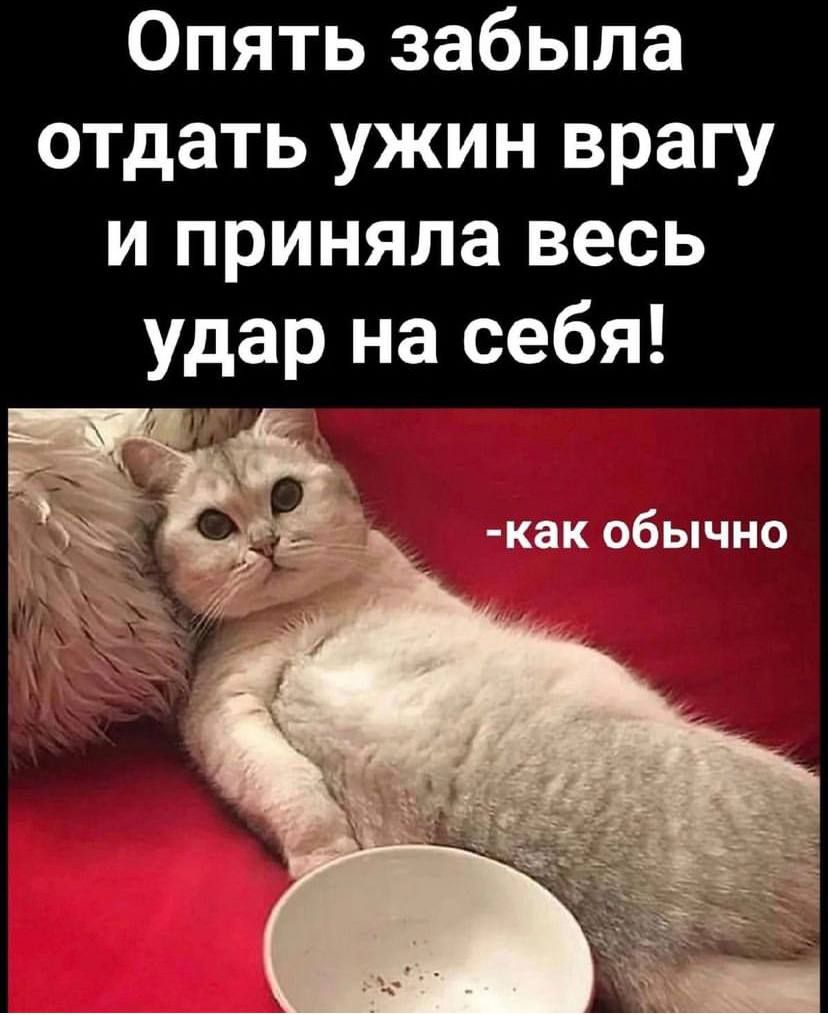 Опять забыла отдать ужин врагу и приняла весь удар на себя как обычно