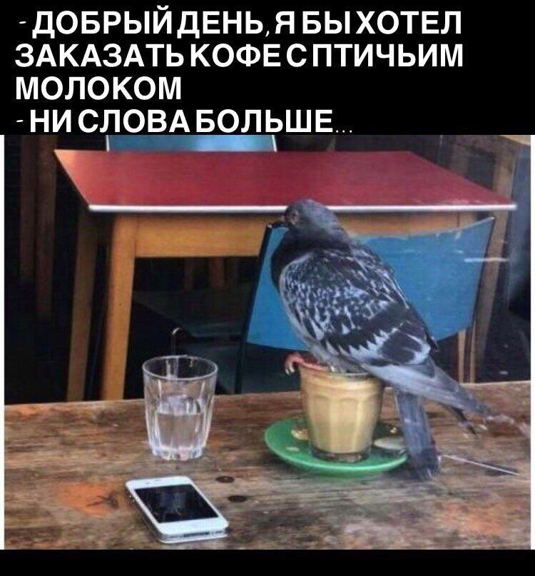 ДОБРЫЙДЕНЬН БЫ ХОТЕЛ ЗАКАЗАТЬ КОФЕ С ПТИЧЬИМ МОЛОКОМ НИ СЛОВАБОЛЬШЕ _