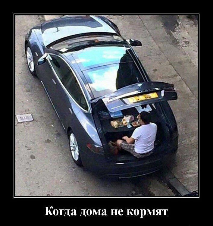 Когда дома не кормят гипп м