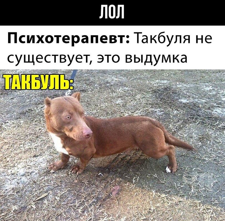 Психотерапевт Такбупя не существует это выдумка ДПП