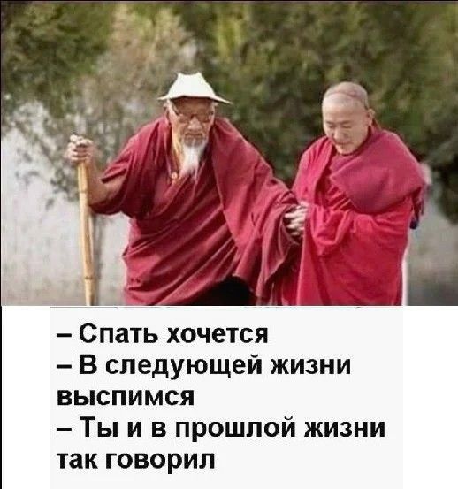 Спать хочется В следующей жизни выспимся Ты и в прошлой жизни іак говорил