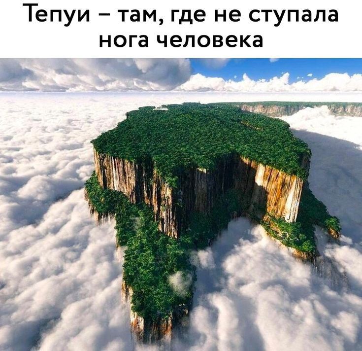 Тепуи _ Там где не СТУПЗПЗ нога человека