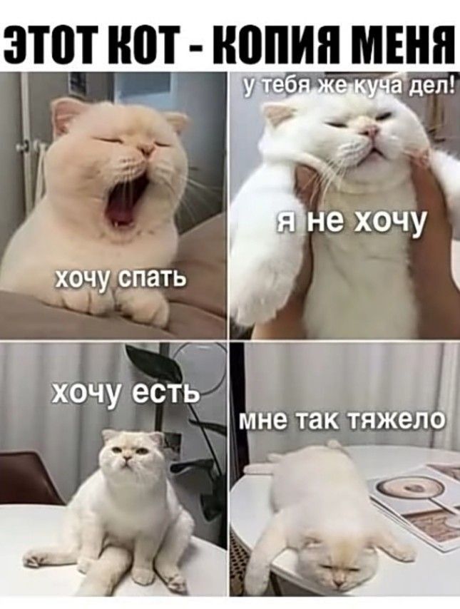 ЗПП ШП ШШШ МЕНЯ