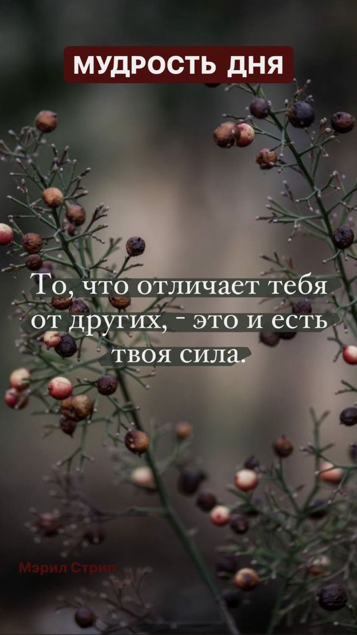 МУДРОСТЬ дня и
