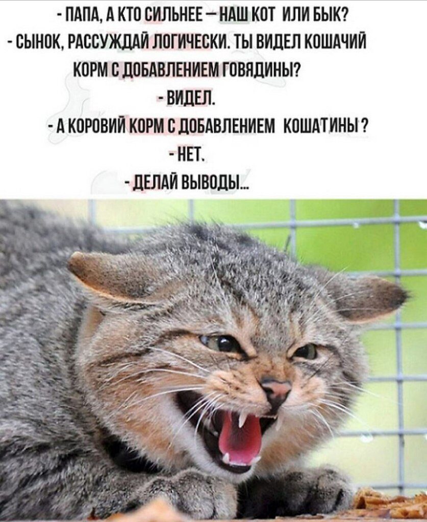 ПАПА А КТП БИЛЬНЕЕ НАШ КШ ИЛИ БЫК БЫМПК РАББУЖЛАИ ЛПЕВКИ ВИДЕЛ КПШАЧИИ К0РМ В ШБАВПШИЕМ ГПБПДИИЫ ВИДЕЛ А КПРПВИИ КПР БЛПБАБЛЕИИШ КПШАТИНЫ ЕТ _ ШМ ВЫВПДЫ_