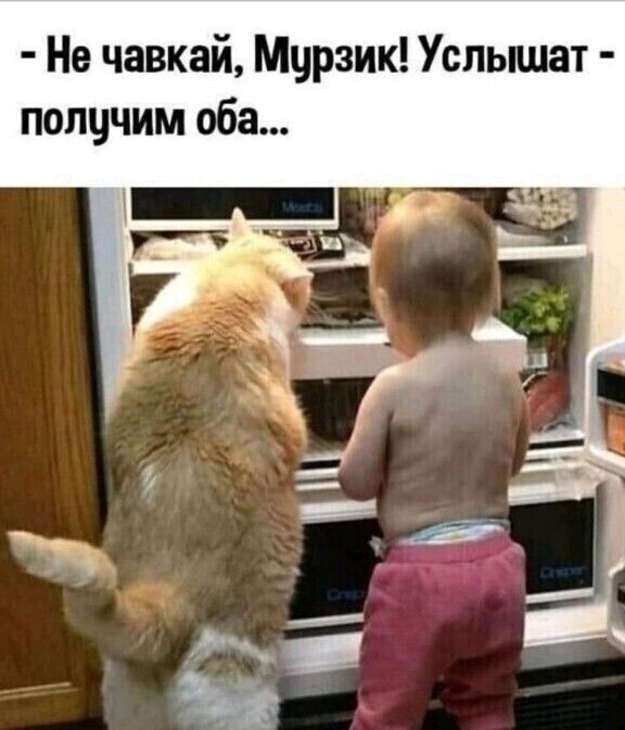 Не чавкай Мцрзик Успышат попцчим оба