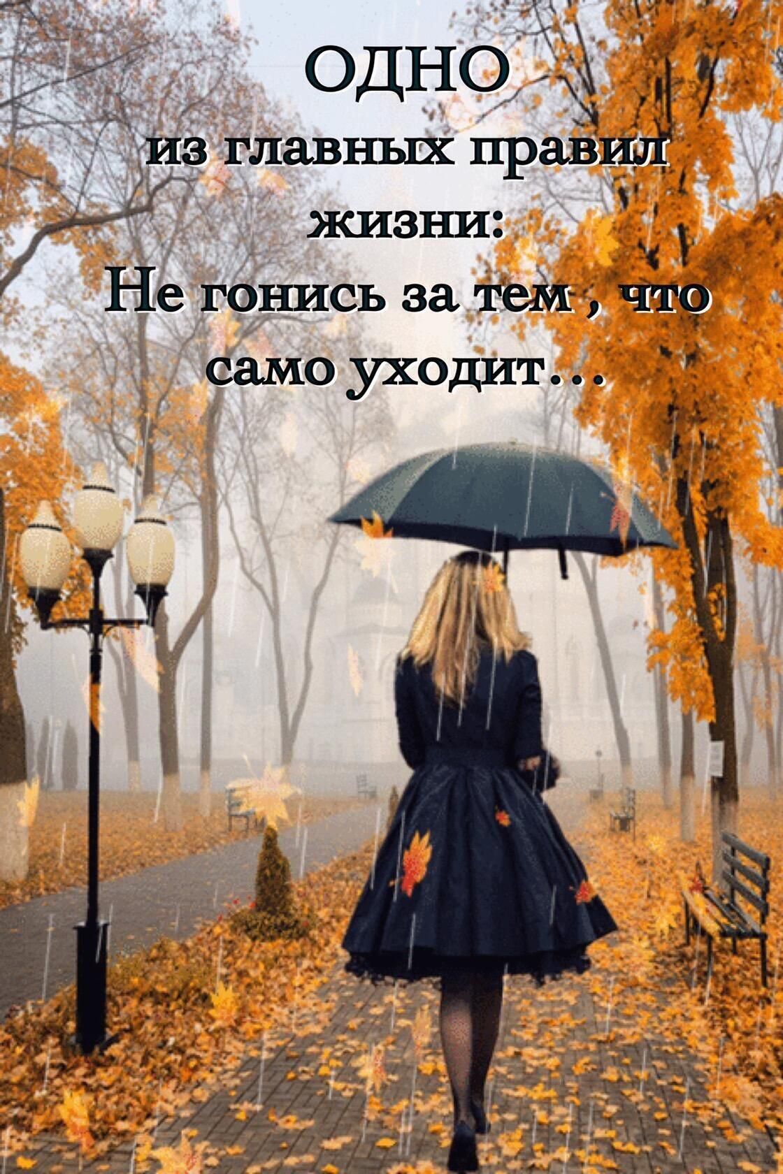 Не гфіись за амо уходит и