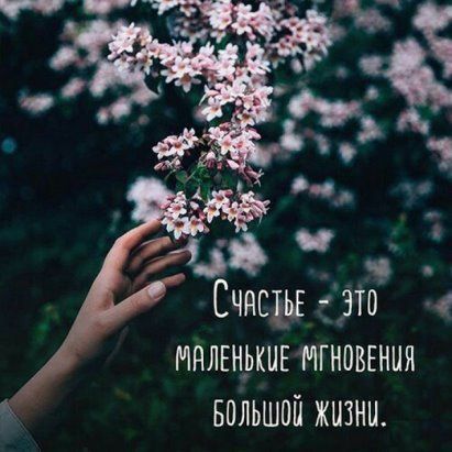 _ _9 Счясъьцэю _ мялщькиг мгновгния БОЛЬШОЙ жизни