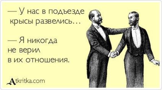 У нас в подъезде КРЫСЫ РЗЗВеАИСЬ Я никогда не вери в их отношения Ашпош сот