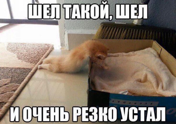 Шшвп миди щи іИЮЧЕНБ РЕЗНП ВПШ