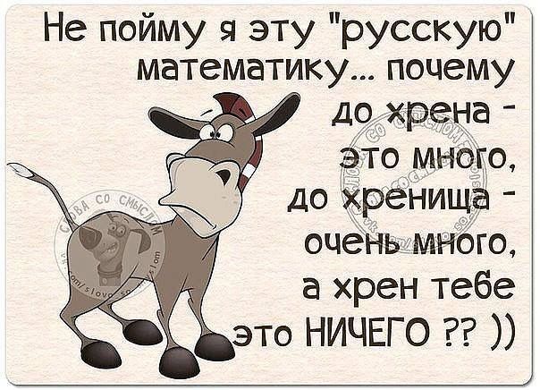 Не пойму я эту русскую математику почему до хрена это много до хренища очень много это а хрен тебе НИЧЕГО
