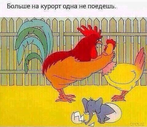 Бальше на курорт одна не поедешь
