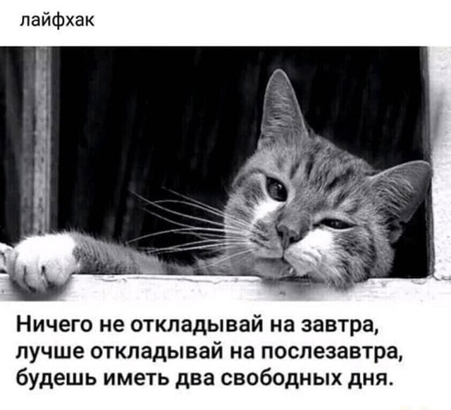 пайфхак Ничего не откладывай на завтра лучше откладывай на послезавтра будешь иметь два свободных дня
