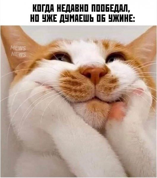 ШШШ ШШШ ПППЕЕШШ НП НЖЕ ЛЕНИЕШЬ ПЕ ЖИИЕ