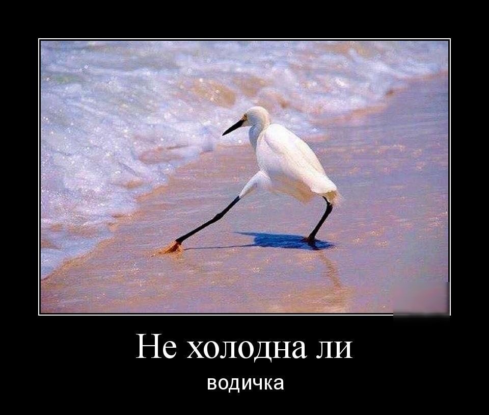 Не холодна ли ВОДИЧКЭ