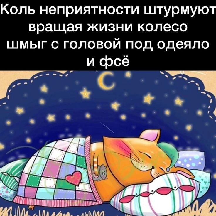Коль неприятности штурмуют вращая жизни колесо шмыг с головой под одеяло и фсё