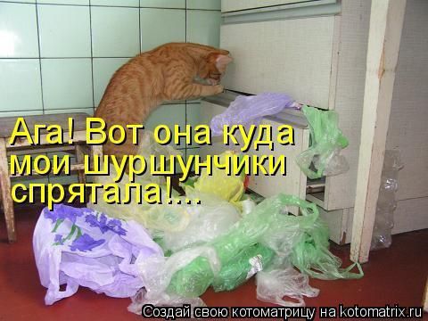о ои ш ОТУЕСЛИ КО спря ТЕ