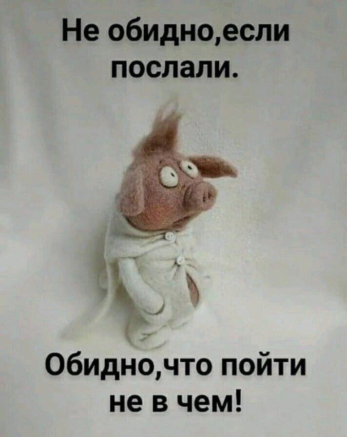 Не обидноесли послали Обидно что пойти не в чем