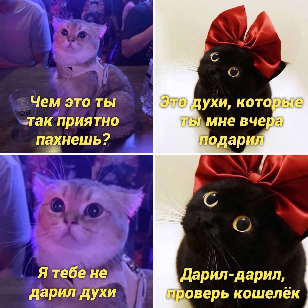 Чем это ты лак приятно пахнешь я тебе не дарил духи дарил дарил дверь кошелёк